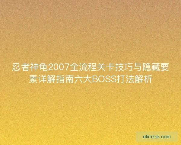 忍者神龟2007全流程关卡技巧与隐藏要素详解指南六大BOSS打法解析