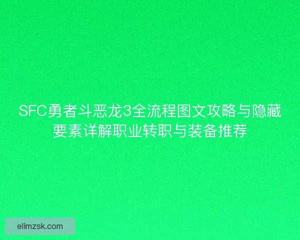 SFC勇者斗恶龙3全流程图文攻略与隐藏要素详解职业转职与装备推荐