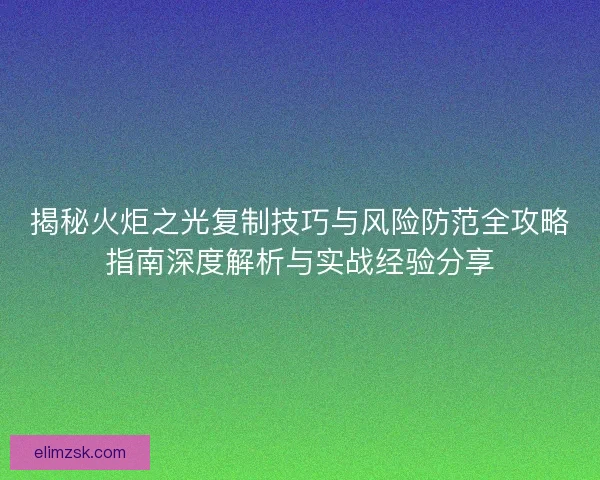 揭秘火炬之光复制技巧与风险防范全攻略指南深度解析与实战经验分享